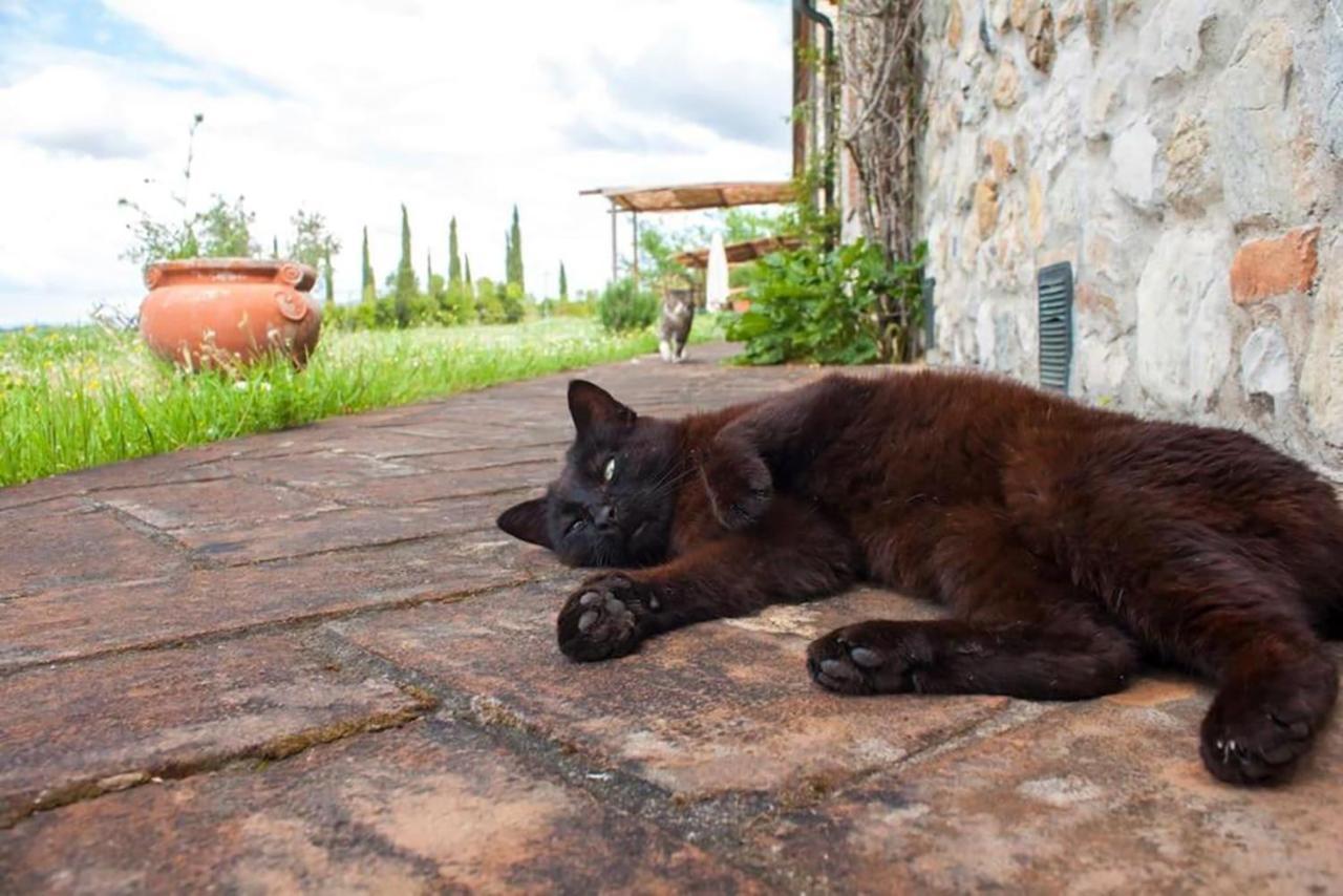 פומרנצה Agriturismo Fattoria Di Statiano מראה חיצוני תמונה