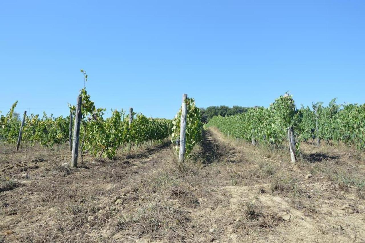 פומרנצה Agriturismo Fattoria Di Statiano מראה חיצוני תמונה
