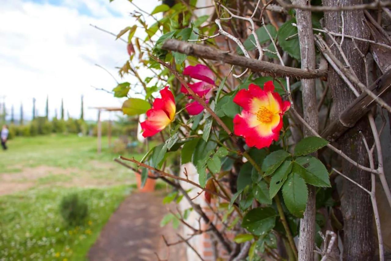 פומרנצה Agriturismo Fattoria Di Statiano מראה חיצוני תמונה